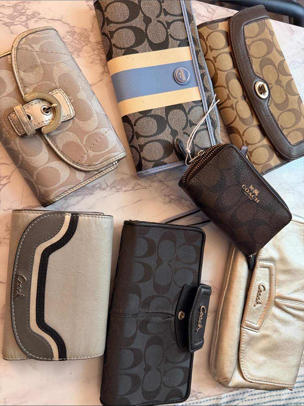 Coach Project Pieces